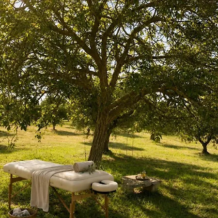 Dom wakacyjny Trulli Nigri Holidays With Private Swimming Pool *